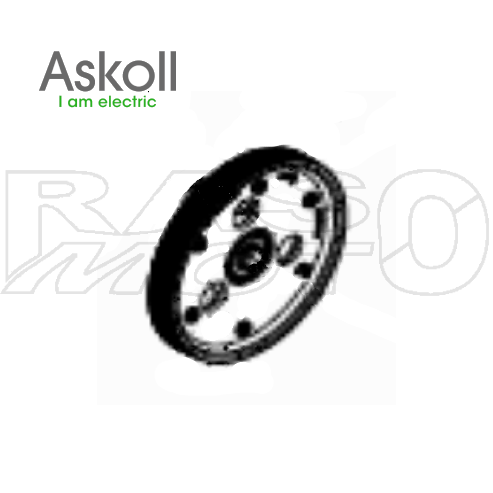 Askoll Gruppo Puleggia Di Rinvio NGS POLY-V NGS1 - 2 - ES2 - ESPRO Ricambio Originale