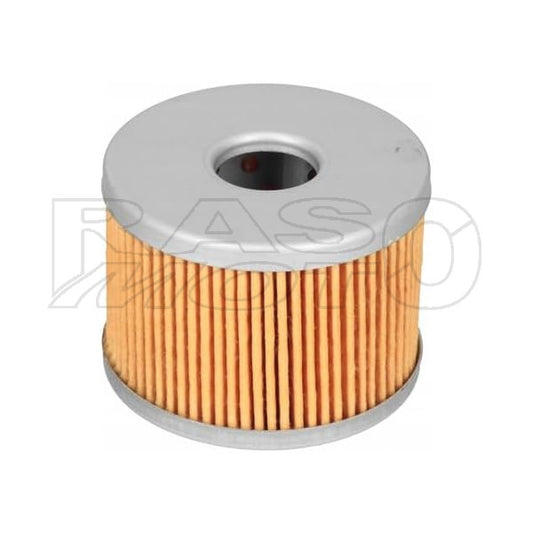 Benelli Filtro Olio Moto BN125 - TNT125 Ricambio Originale 169124320000