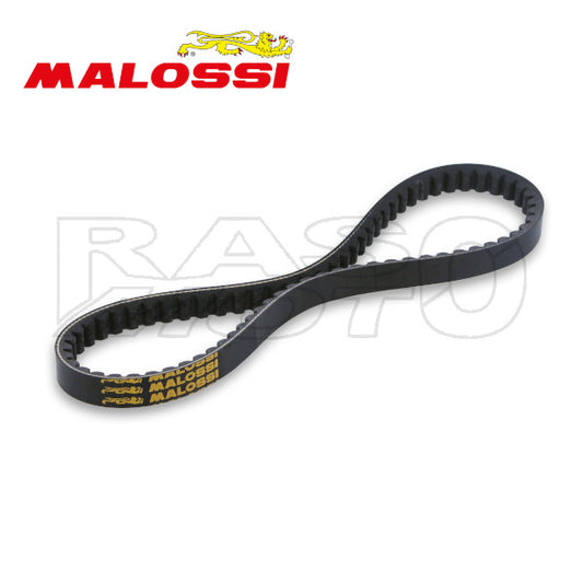 Malossi 6116118 XK Belt Scooter Piaggio BEVERLY - CARNABY - MP3 - X10 - Aprilia SCARABEO - Derbi RAMBLA - WT Motors MIAMI