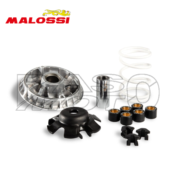 Variator Malossi Multivar 2000 SYM GTS - JOYMAX - HD - CITYCOM 300