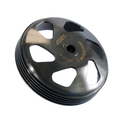 Polini Campana Frizione EVO 2 PIAGGIO - GILERA - APRILIA - DERBI - PEUGEOT - VESPA - MALAGUTI  250.025