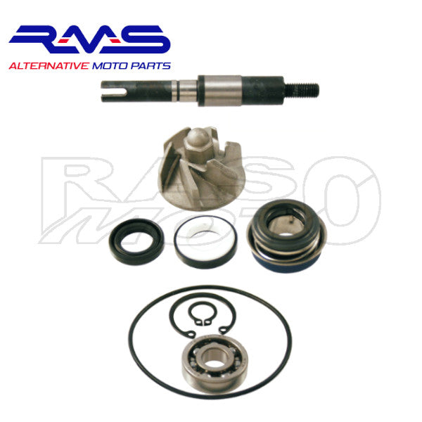 RMS Kit Revisione Pompa Acqua Scooter 125 - 150 Honda SH - PANTHEON - S-WING - AROBASE - PS - DYLAN 100110190