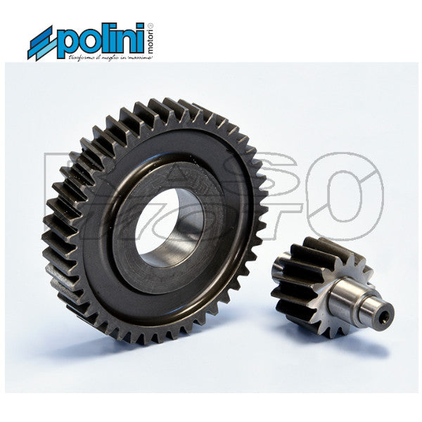 Polini Ingranaggio Secondario Piaggio VESPA 50 PRIMAVERA - SPRINT - LIBERTY