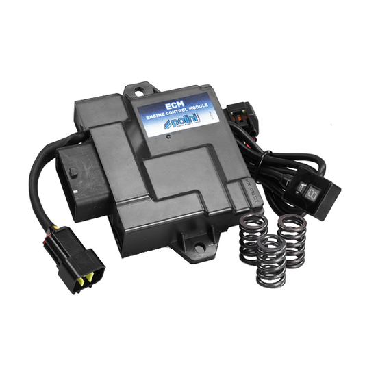 Polini Centralina Elettronica ECM Scooter Piaggio 50 LIBERTY - VESPA SPRINT - PRIMAVERA  171.0025