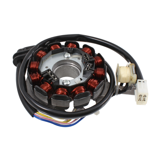 RMS 246350590 Stator 12 Pole Minarelli AM6 Moto Beta – HM – VENT RR BAJA – DERAPAGE 50 – CRE