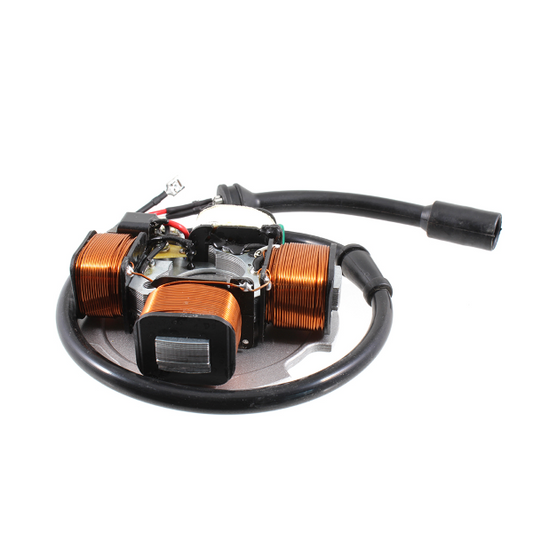 RMS Statore Piaggio VESPA N - PK XL - FL2 - RUSH  234321