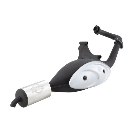 SITE 0572 Auspufftopf Piaggio Scooter 2T NRG MC2 - NRG POWER - VESPA - ZIP SP - Gilera RUNNER - STALKER - DNA - TYPHOON