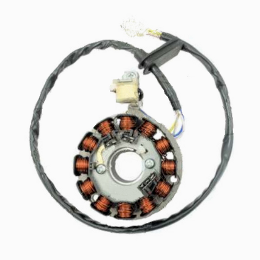 Top Performance Statore 12 Poli Scooter e Moto MINARELLI  AM6 - BETA - FANTIC - HM - CMC - RIEJU - SHERCO - VALENTI - VENT ST00032