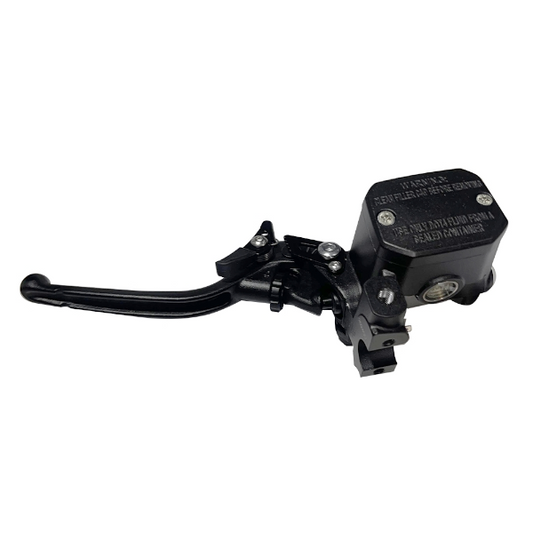 Zontes Gruppo Pompa Leva Principale Freno A Disco Posteriore ZT 368 G - D 2025 Ricambio Originale  1100300-209022